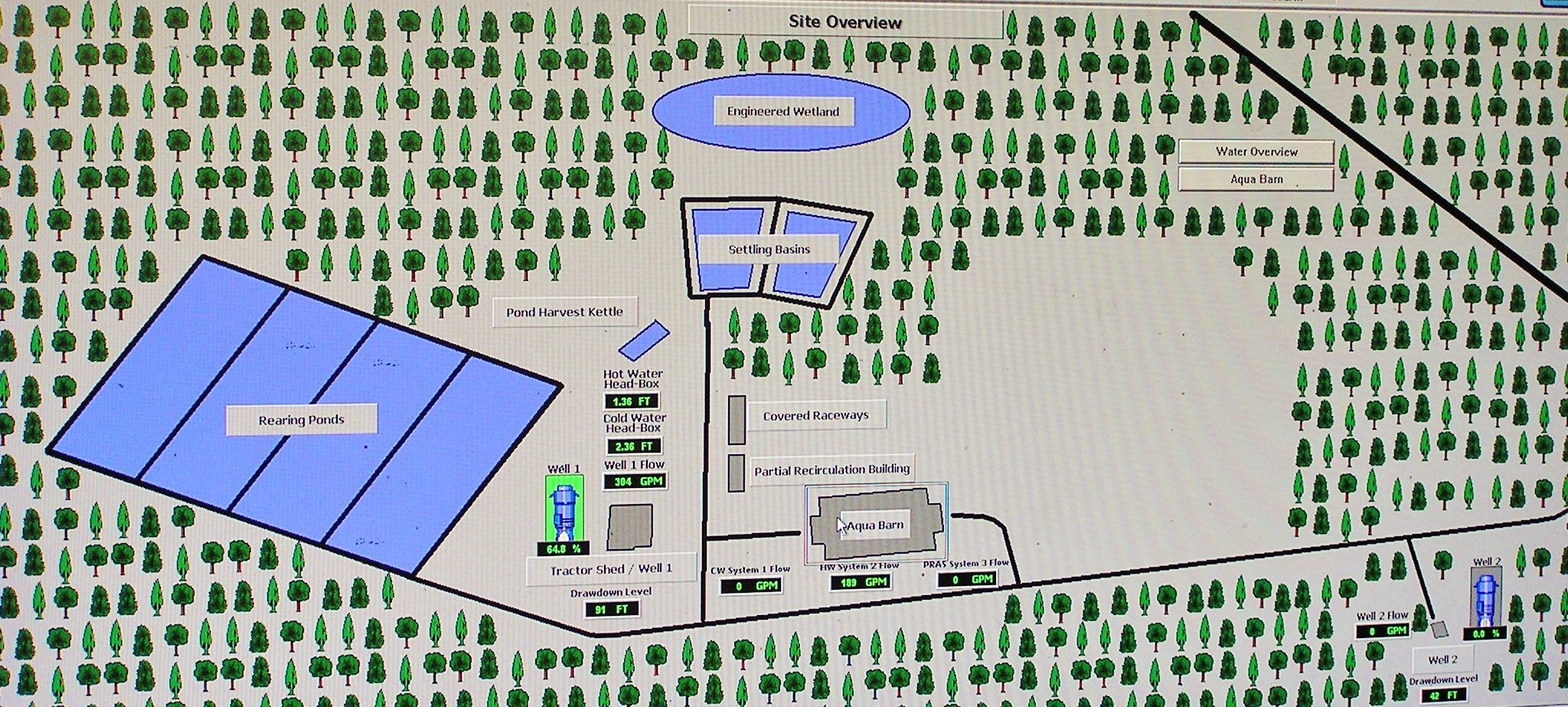 Digital layout